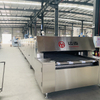 Tunnel Oven 2 Trays
